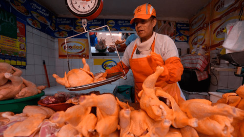 El pollo se convierte en la opción principal ante escasez de carne de res en Santa Cruz