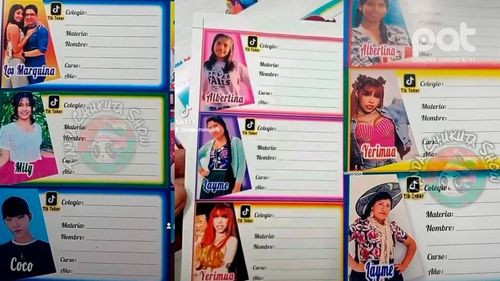 La nueva tendencia en etiquetas escolares: Tiktokers en los cuadernos