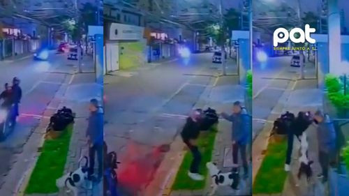 Heroico acto canino: Perro defiende a su dueño de un asalto en plena calle