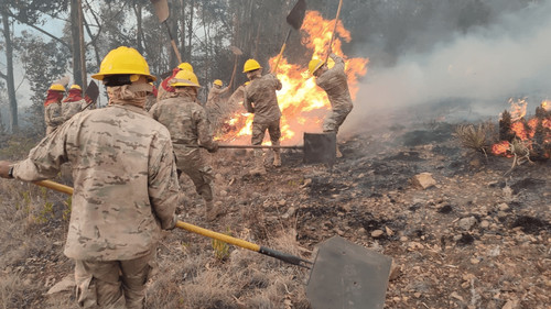 Bolivia enfrenta cinco incendios forestales activos en tres departamento