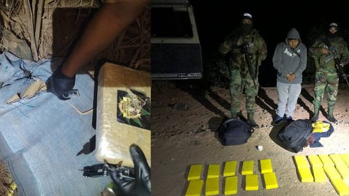 FELCN incauta 35 kilos de marihuana y aprehende a una persona en operativo antidroga en Pando