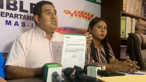 MAS solicita conformar comisión para hacer seguimiento a informe de confiabilidad