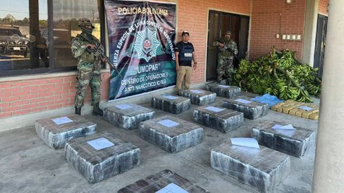 Fiscalía investiga el hallazgo de más de media tonelada de marihuana en Yapacaní