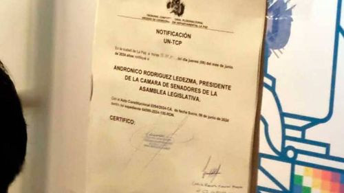 Senado devolvió notificación con la que el Tribunal Constitucional intentó paralizar sesión de Andrónico