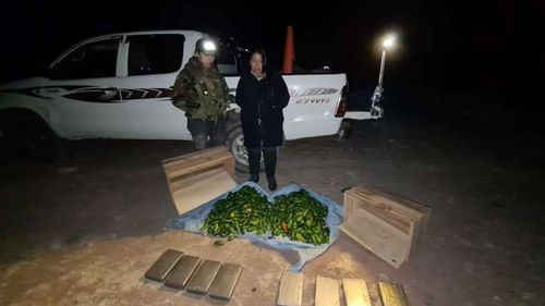  Nuevos modus operandi del narcotráfico: Hallan droga en locotos y conservadoras