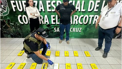 Aprehenden a conductor y se incautan 31 kilos de cocaína en la carretera Bioceánica