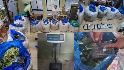 FELCN Incauta Clorhidrato de Cocaína en Tarija y Aprehende a Su Propietario