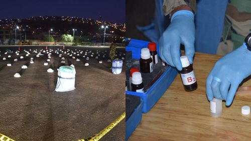 Fuerza Antidrogas secuestra más de 290 kilos de marihuana y aprehende a dos personas en Cochabamba