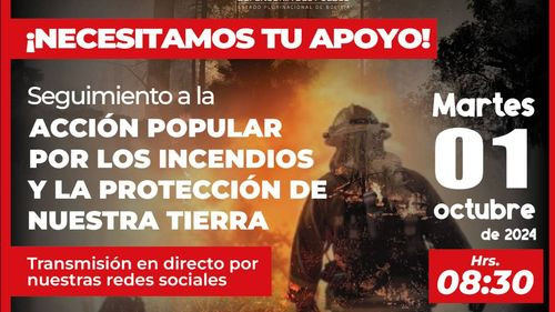 Defensor del Pueblo convoca a audiencia de Acción Popular contra autoridades por incendios forestales