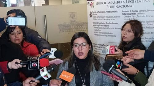 Diputada denuncia falta de garantías en contrato de litio: «Estamos hipotecando el futuro»
