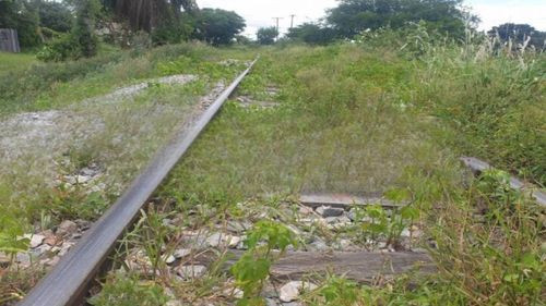 Hombre pierde una pierna al ser arrollado por un tren en Santa Cruz