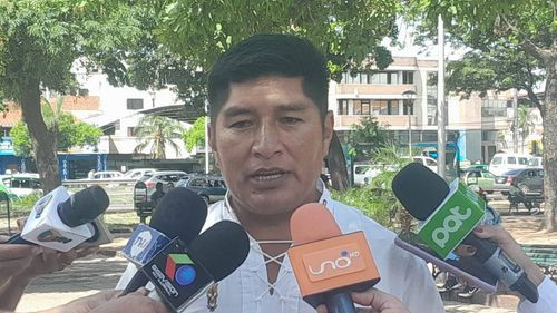 Hernan Hinojosa- Diputado MAS: Sentencia de TCP sobre reelección