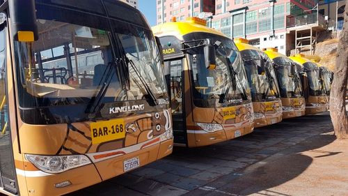 Vandalismo en paradas de transporte en Mallasa