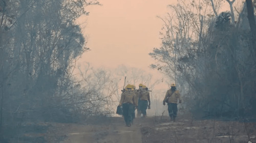 Gobierno refuerza lucha contra incendios con aviones cisterna y ayuda internacional