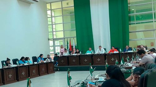 Zvonko cuestiona la no asistencia del director de la ABT  para que brinde informe sobre los incendios en la sesión de la Asamblea Legislativa Departamental