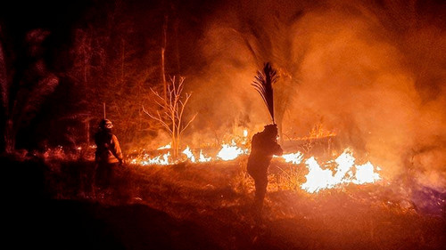 Amnistía Internacional alerta sobre crisis ambiental: Urge a gobiernos sudamericanos a actuar ante incendios