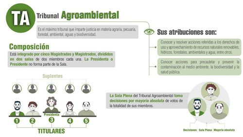 Conoce cuántas autoridades del Tribunal Agroambiental elegiremos el 1 de diciembre