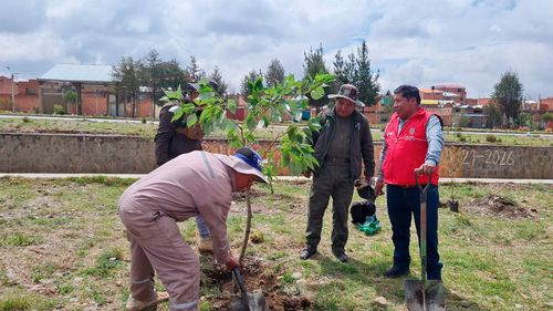 Distrito 4 impulsa la forestación con 120 árboles para un aire más limpio