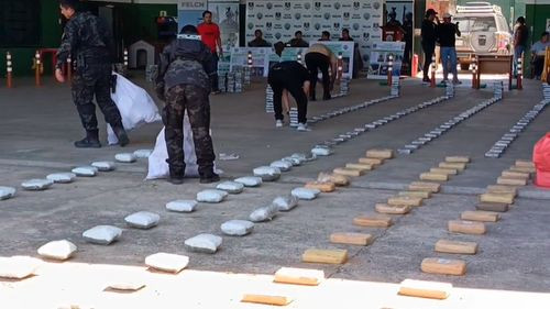 Felcn desmantela redes de narcotráfico en Santa Cruz: operativos afectan 2.6 millones de dólares