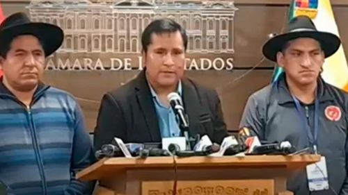 Declaraciones del Presidente de la Cámara de Diputados generan controversia sobre un supuesto &quot;golpe legislativo&quot;