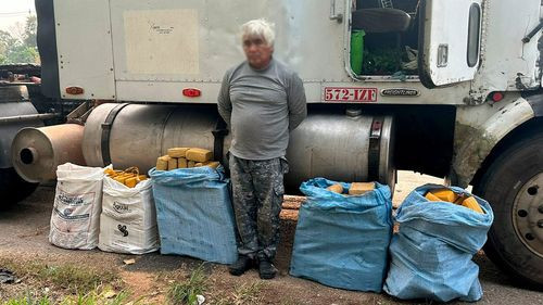 FELCN incauta más de 154 kilos de marihuana en tractocamión en Santa Cruz