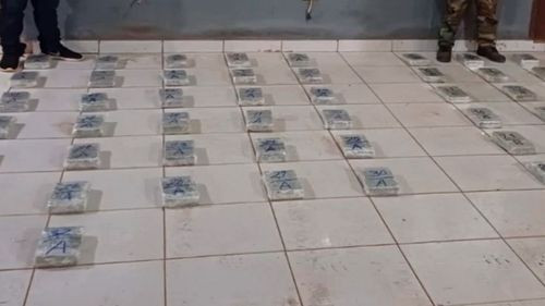 Fiscalía del Beni abre investigación por hallazgo de más de 66 kilos de marihuana en San Joaquín