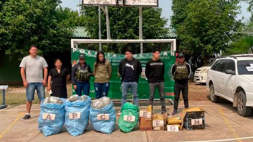  Gobierno desarticula punto de acopio de marihuana en Puerto Quijarro