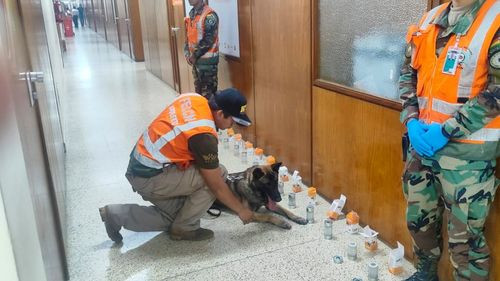 Incautan más de 2 kilos de cocaína en operativo antidrogas en aeropuerto de Viru Viru