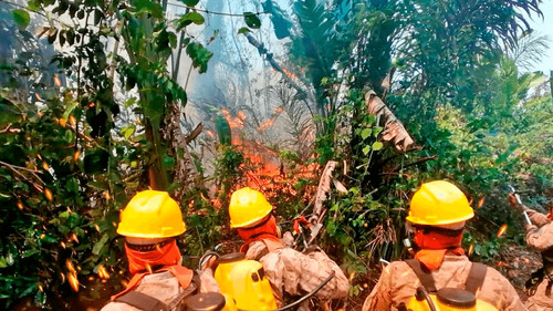 Incendios arrasan cultivos de plátano en Urubichá y afectan a familia de 10 miembros
