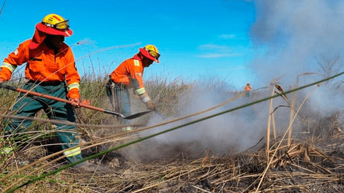 Aumentan incendios y focos de calor en Santa Cruz