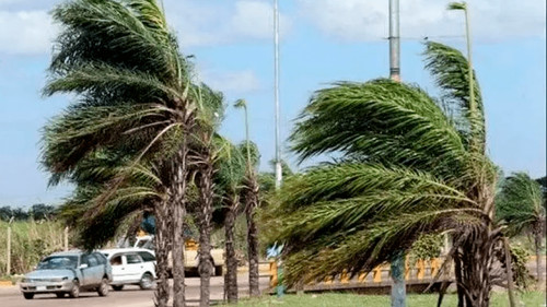 Emisión de Alerta Naranja por vientos de hasta 50 km/h en cinco departamentos