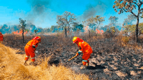 Llegada de ayuda internacional para combatir incendios en Bolivia