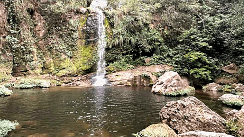 El Choré: nueva área protegida en Santa Cruz