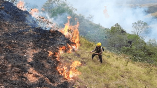 San Rafael enfrenta desastre ecológico