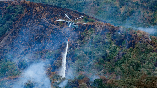 Perú declara emergencia en tres regiones por incendios forestales