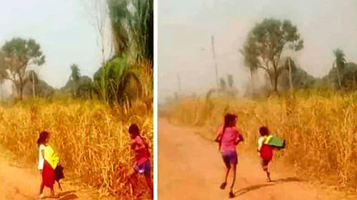 Niña de 9 años rescata la bandera en incendio forestal