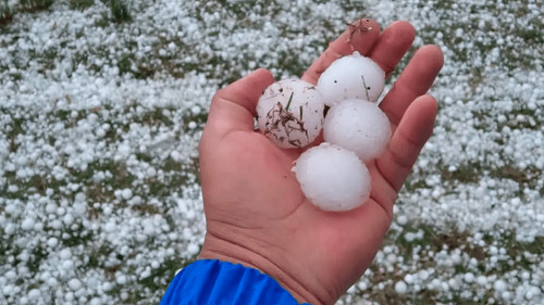 Fuerte granizada en Chuquisaca afecta a 267 familias y mata a 170 animales