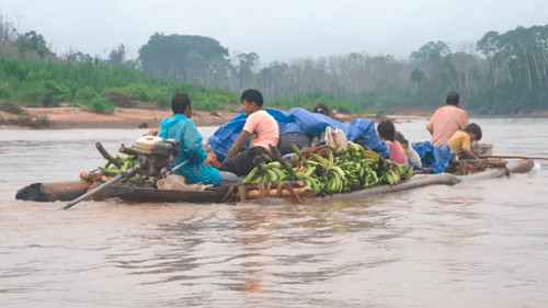 Los Tsimane de Bolivia: El secreto de su longevidad